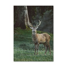 마켓A 自然彩繪帆布海報 TYPE4