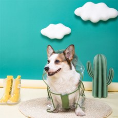 The Flow 獻給愛玩水狗狗的雨衣, 02