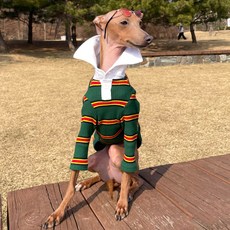 DOGGY STAR IG服飾 義大利靈緹服飾 條紋翻領T恤, 綠色