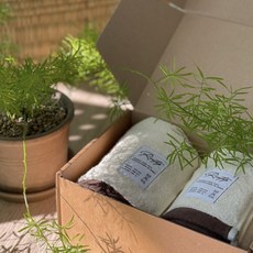 Rootip 無塵洗臉毛巾 竹纖維 200g 30支 竹纖維, 象牙白, 2個