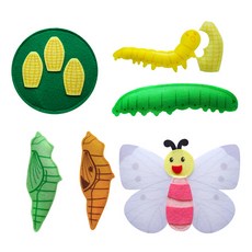 青陽Toy 動物生命週期不織布教材, 紋白蝶