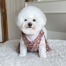 바이담수미 강아지 골덴 꽃님 원피스, 핑크, 1개