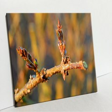 UDP 磁磚畫框 A型 3917083, 單一顏色