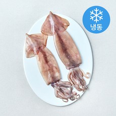 온다미 손질 통오징어 (냉동), 1개, 320g