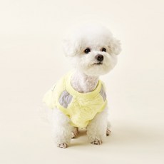 Woolly 狗狗冬季刷毛大學T, 1個, 檸檬