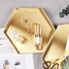 Topsiga TCR 北歐鋼製簡約六角形托盤 小型, 金色