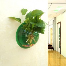 Life Sweet 壓克力壁掛式花盆 魚缸, 透明綠色