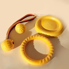 soonZAM 狗狗小型犬玩水與訓練皆可用的堅固飛盤4件組, 黃色, 1套