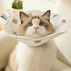 Lanboer 寵物熊熊圖案頸圈, 象牙白, 1個