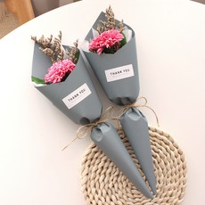 카네이션 한송이 드라이플라워 2p, 진핑크(카네이션), 블루(포장지)
