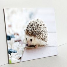 UDP 瓷磚畫框 A型 468228, 單一顏色