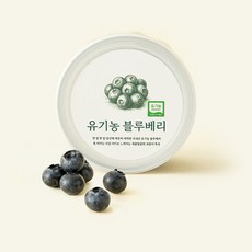 유기농 인증 바로먹는 블루베리, 1개, 200g