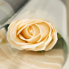 아스파시아 퍼퓸 한송이 비누꽃 10p, 아이보리