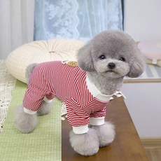 PASTEL PET 狗狗書本熊條紋連身衣, 紅色, 1個