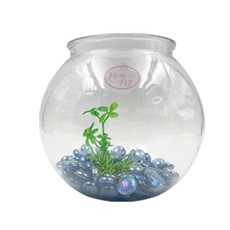 Rora Pet Beads Bockjory 魚缸, 海洋藍