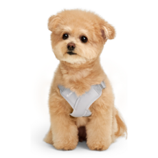 Neo FIT. 狗狗 Air X 胸背帶 胸帶, 粉彩灰, 1個