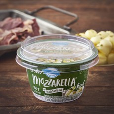 덴마크 후레쉬 모짜렐라 바질, 160g, 1개, 1개입