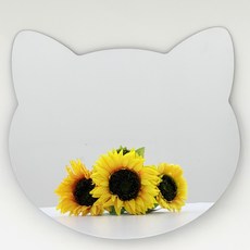 일상도구 벽에 붙이는 아크릴 안전 벽 거울, 고양이