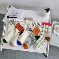 Wodemi 女款獨特奇趣彩色可愛龐克棉質中筒襪5雙組 W740