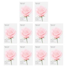 Appree Sticky Leaf 玫瑰基本便利貼 S, 粉紅色, 10個, 20枚入