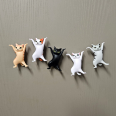 愛心貓咪冰箱磁鐵5件組, 混色