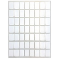 藍番茄 PP方形標籤貼紙2, A, 10入, 5組