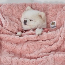 도그아이 반려동물 펫 꽈배기 담요, 베이비핑크, 1개