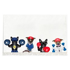 더플로우 귀요미 동물들이 옹기종기 가구 선반 커튼