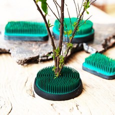 蕉蕉購物 日式新款電鍍綠劍山 6cm 綠色, 1個