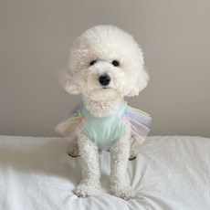 Grooming Dog 寵物雛菊精靈無袖短版T恤, 薄荷綠