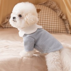 Artipet 寵物刷毛可愛領子襯衫, 1個, 藍色