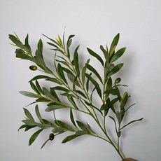 Green Hug 仿真橄欖樹枝, 1個, 單一顏色