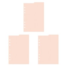 PLEPIC A5 6孔雙面索引墊 桃色格線 3入, 30張
