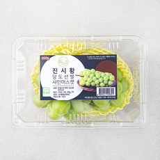 진시황 GAP 인증 비파괴당도선별 샤인머스켓, 1팩, 450g