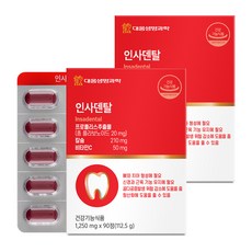 대웅생명과학 인사덴탈 112.5g, 90정, 2개