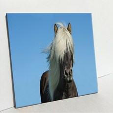 UDP 磁磚畫框 1330690