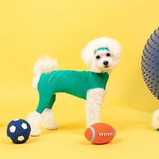 Dr.PETSTAR 髕骨寵物髕骨護理服, 綠色