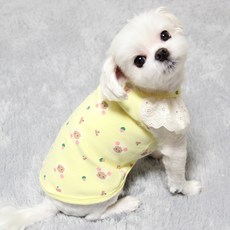 도기코디 딸기케익 티셔츠, 노랑, 1개