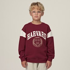 HARVARD KIDS 青少年兒童哈佛徽章刷毛大學T HJCCMTE44249