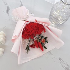 러블리팜 영원히 변하지 않는 아름다움 프리저브드 수국믹스 꽃다발 + LED 전구 세트 + 쇼핑백, 레드, 1개