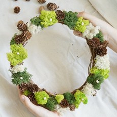 哈哈波尼森林斯堪迪亞苔蘚租賃套組, 綠色