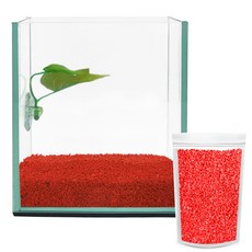 Aquatera Beta玻璃魚缸+Beta床+彩石1kg CH-G150, 紅色（彩石）