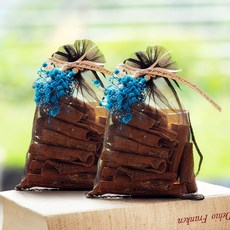 ASPASIA Goodbye Bugs 肉桂滿天星香氛包 2入, 藍色