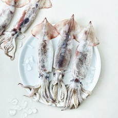 어부심 국내산 생물 오징어 4~8미 (냉장), 1개, 1kg