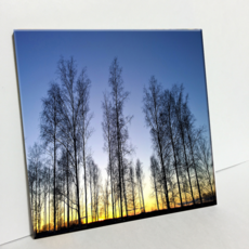 HTP 瓷磚 樹與日出 C502, 1個