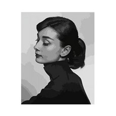 코쿼드 DIY 명화그리기 유화 그림 세트 600 x 750 mm, F10 클래식 오드리, 1개
