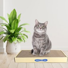 우리가스토리 고양이 평판형 스크래쳐, 혼합색상, 1개