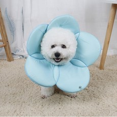 DING DONG PET 寵物魔鬼氈花朵頸圈, 藍色, 1個