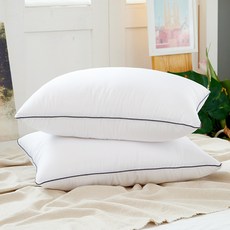 Raum Huvis 單線滾邊飯店系列類羽絨枕芯 2入, 白色, 2個