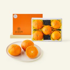 고당도 레드향 대과, 2kg, 1개